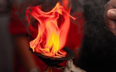 Let me guard the holy fire