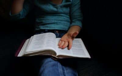 Bible before reason and church