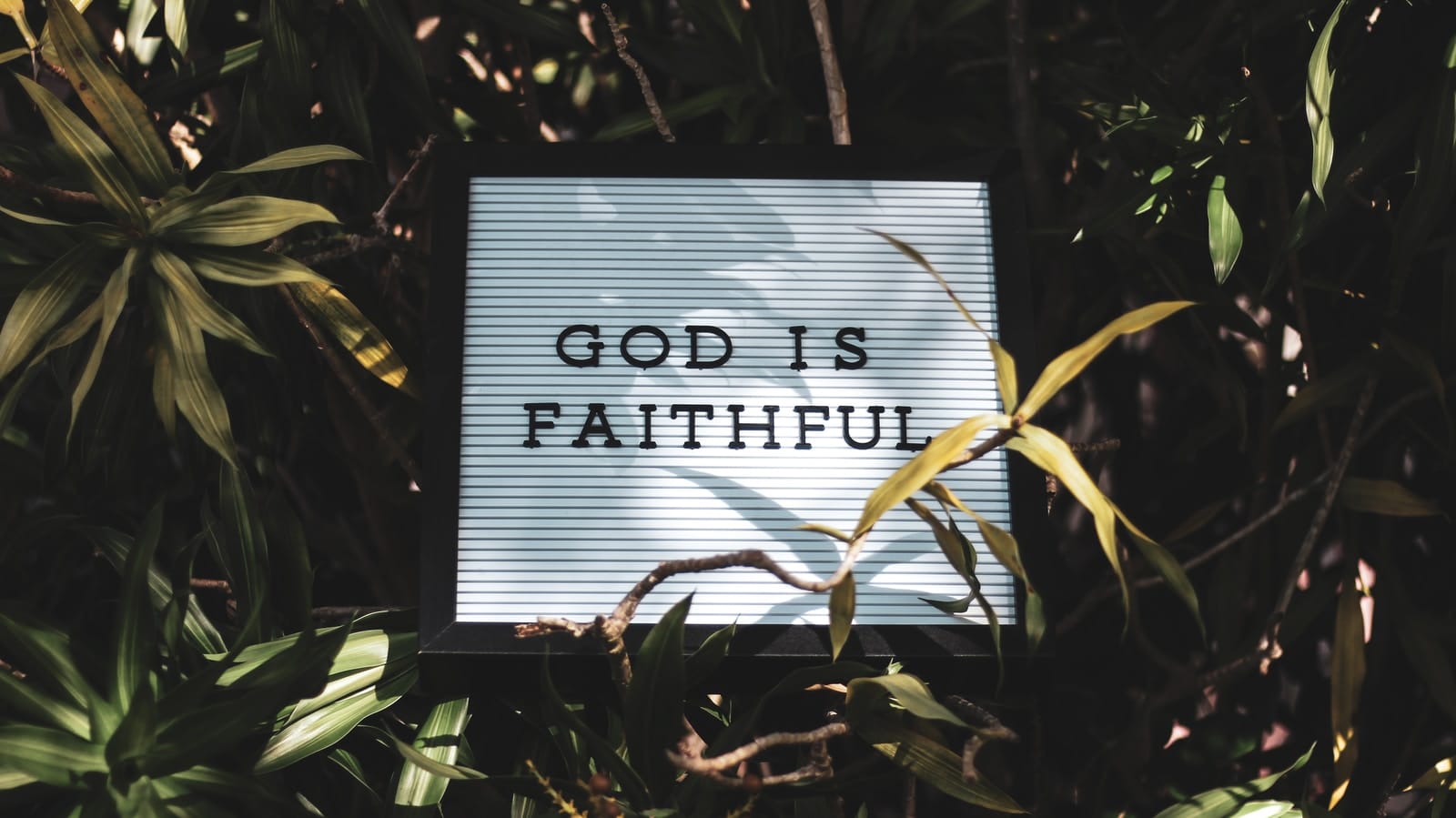 God is Faithful signage with leaved background