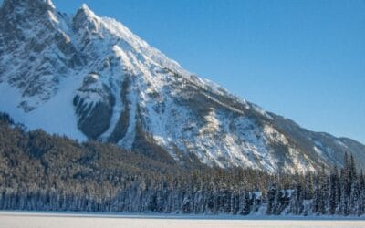 We cannot sit here any more