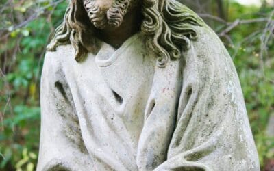 A poet’s crown of thorns