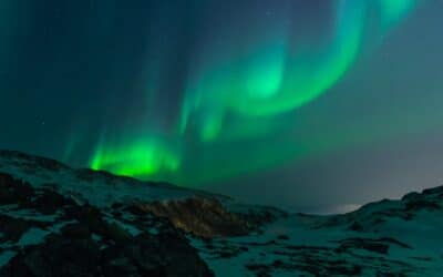 He fathers-forth beauty