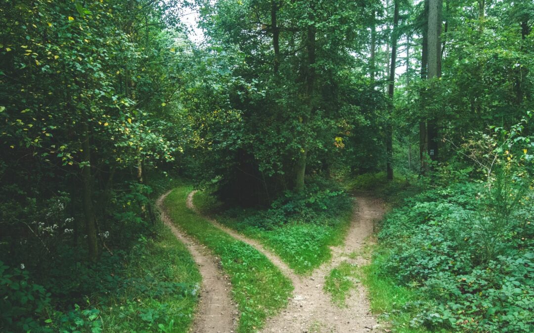 I  took the road less travelled