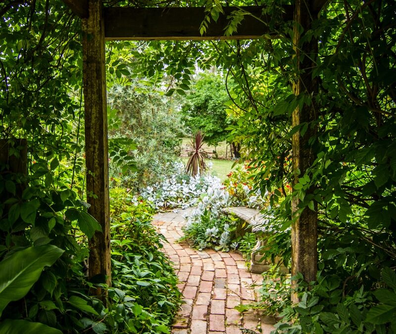 The tree of life in the garden with Christ