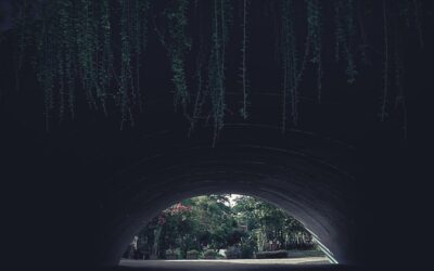 Ignorant of themselves, of God much more