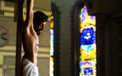 A new small-rented lease please