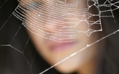 The web you weave