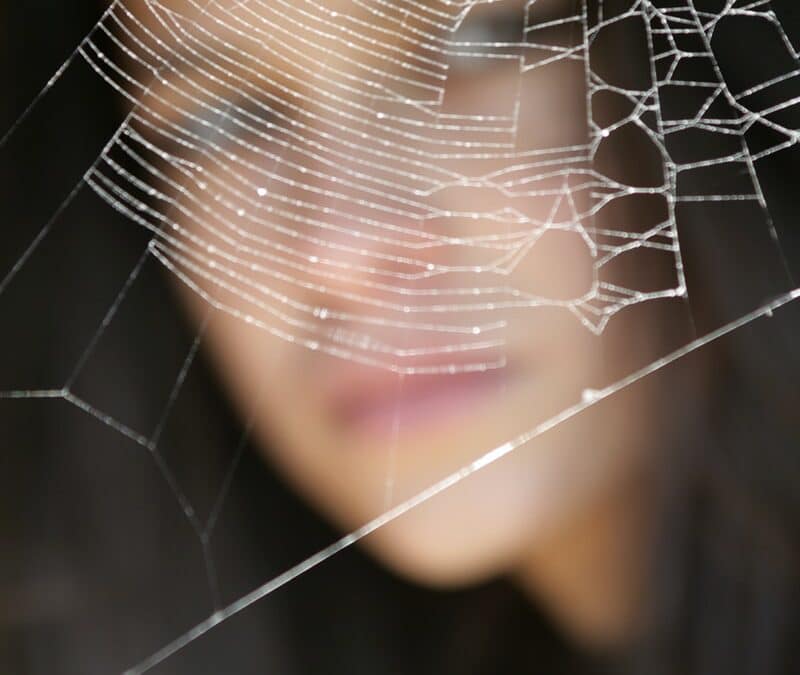 The web you weave