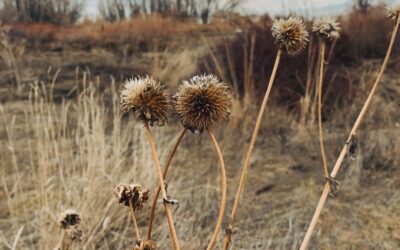 Prayer: patch a few words together