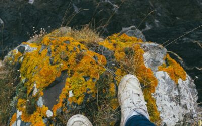 The mind has cliffs of fall