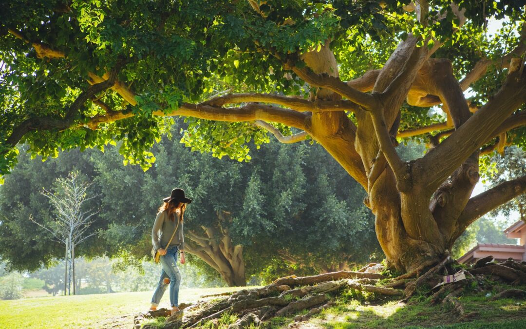 The tree of salvation for me