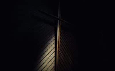 A flash of rare delight