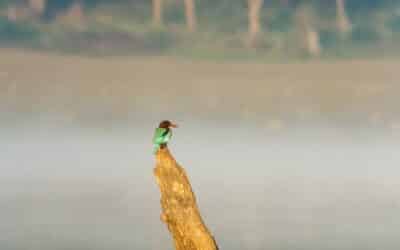 Prayer: Watching and Waiting