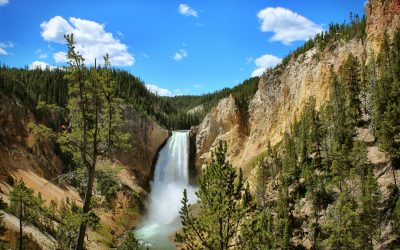 God inhabits Creation