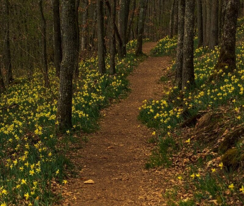 ‘Do the Little Things’