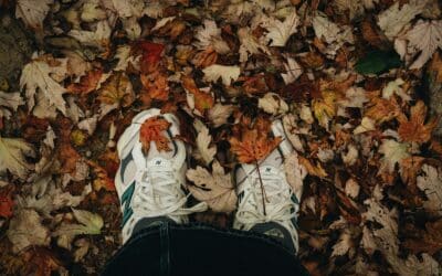 Feeling Autumnal?